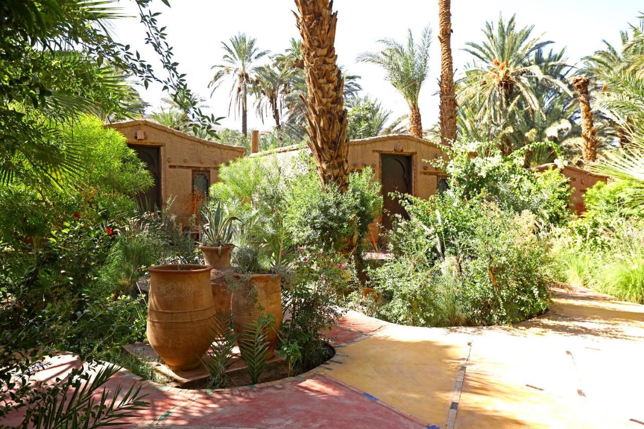 Ecolodge Bab El Oued Maroc Oasis Agdz Extérieur photo