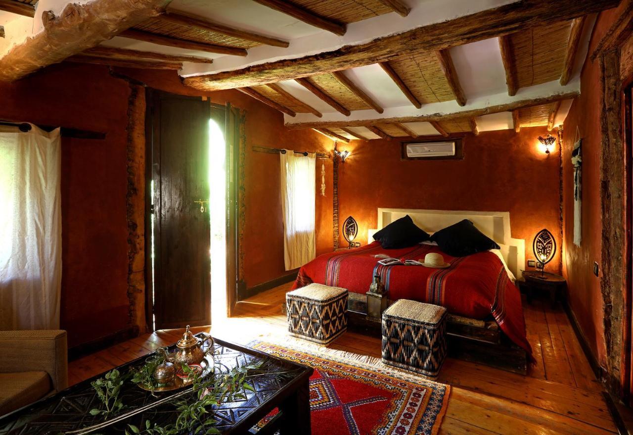Ecolodge Bab El Oued Maroc Oasis Agdz Extérieur photo