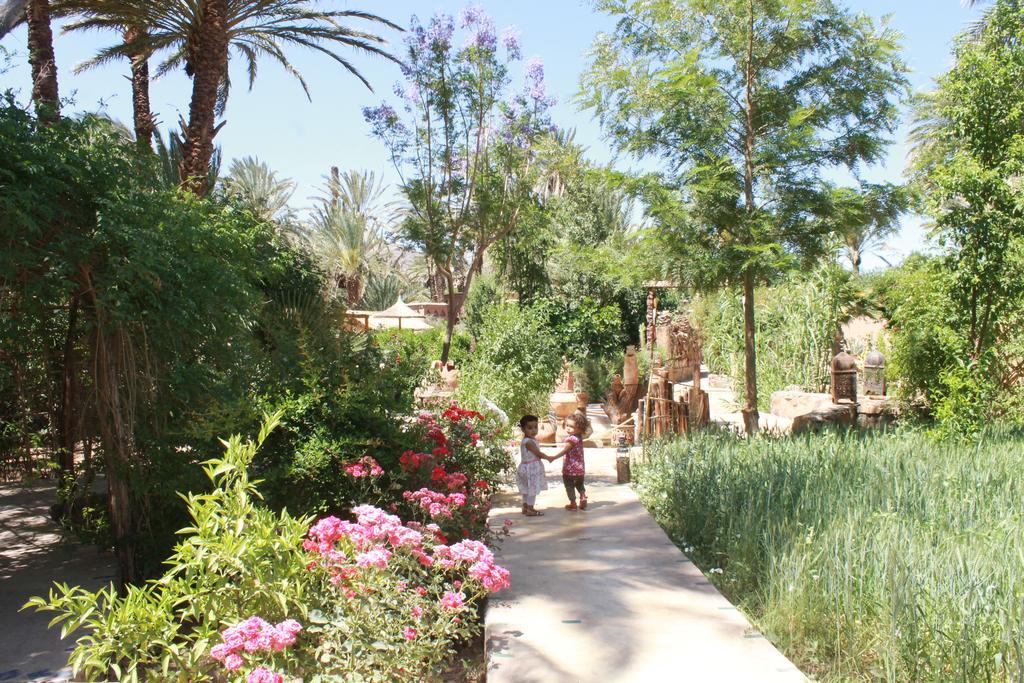 Ecolodge Bab El Oued Maroc Oasis Agdz Extérieur photo