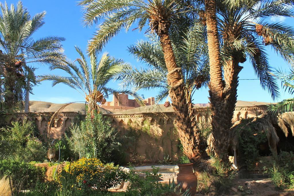 Ecolodge Bab El Oued Maroc Oasis Agdz Extérieur photo