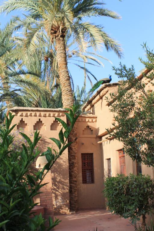 Ecolodge Bab El Oued Maroc Oasis Agdz Chambre photo