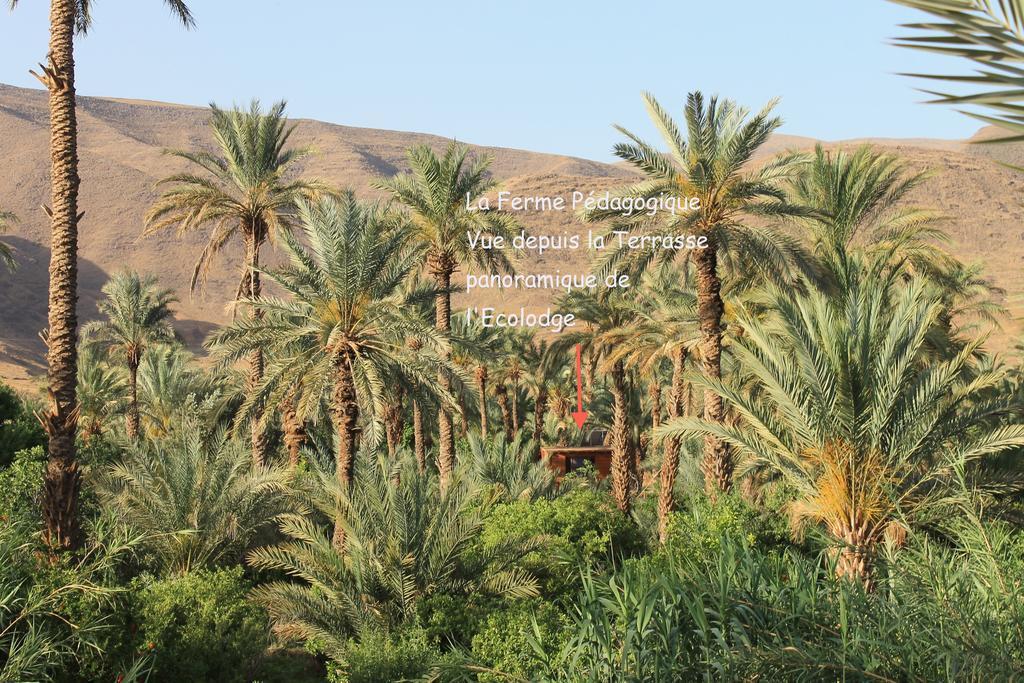 Ecolodge Bab El Oued Maroc Oasis Agdz Extérieur photo