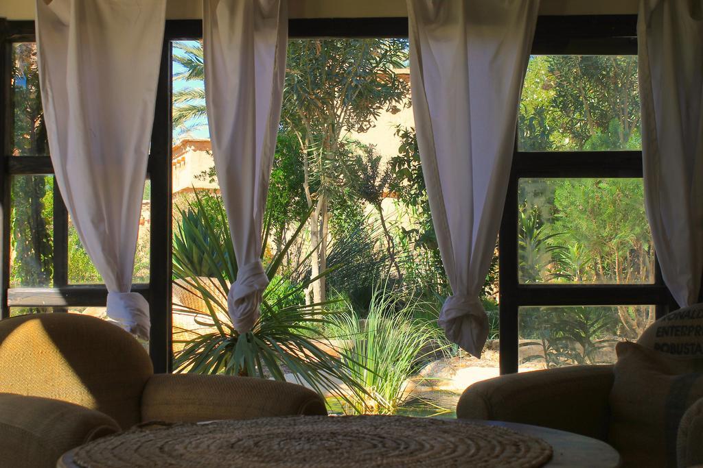 Ecolodge Bab El Oued Maroc Oasis Agdz Extérieur photo