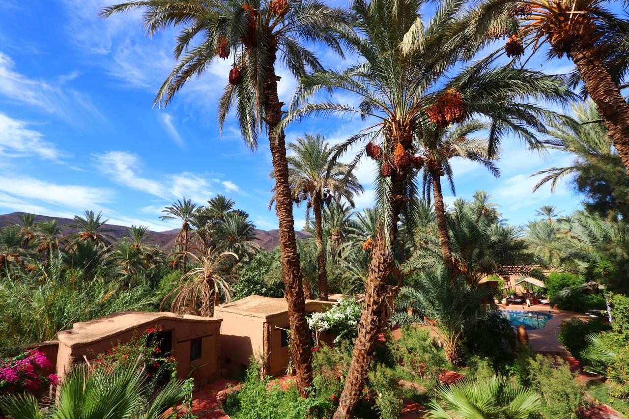 Ecolodge Bab El Oued Maroc Oasis Agdz Extérieur photo
