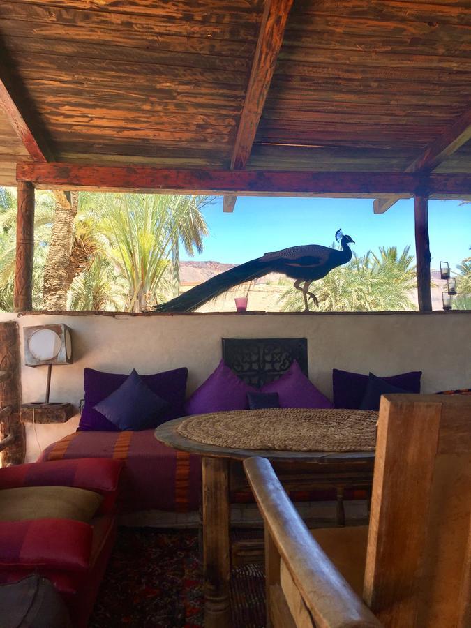 Ecolodge Bab El Oued Maroc Oasis Agdz Extérieur photo