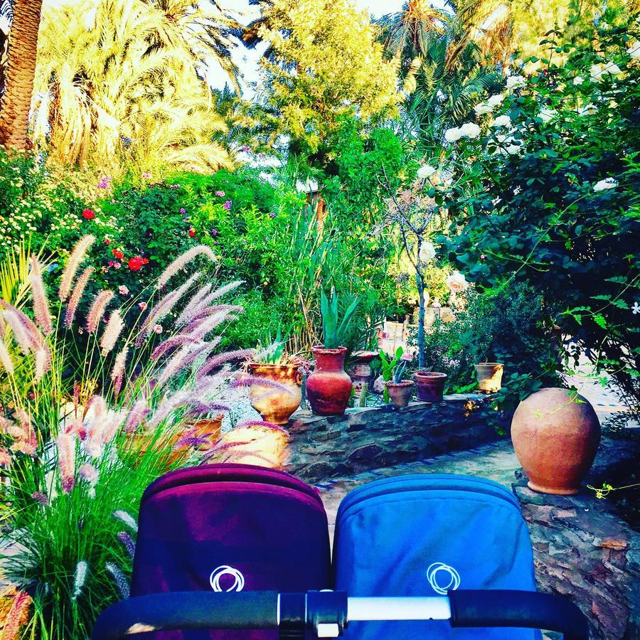 Ecolodge Bab El Oued Maroc Oasis Agdz Extérieur photo