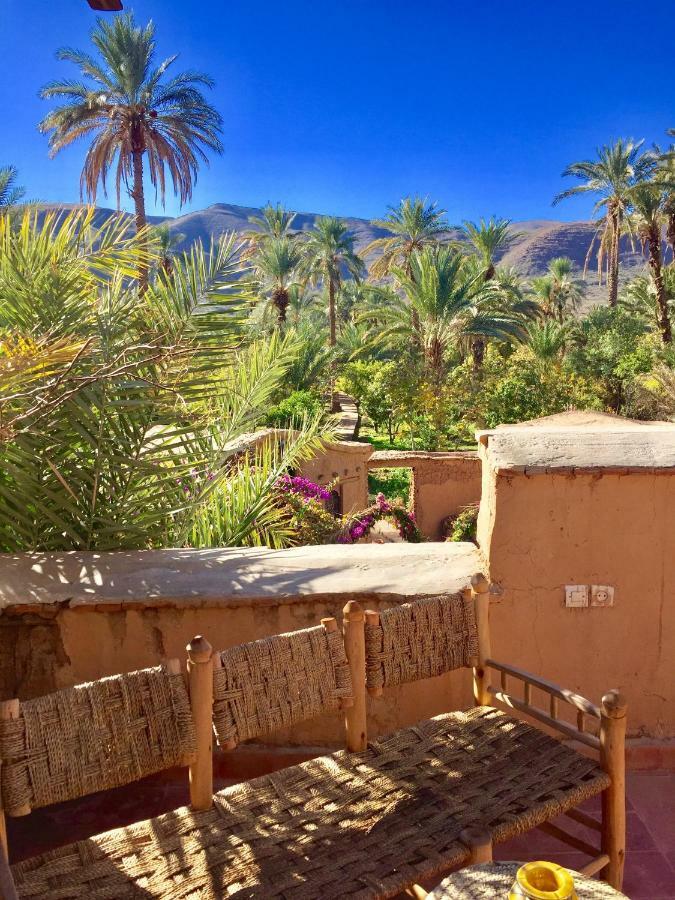 Ecolodge Bab El Oued Maroc Oasis Agdz Extérieur photo